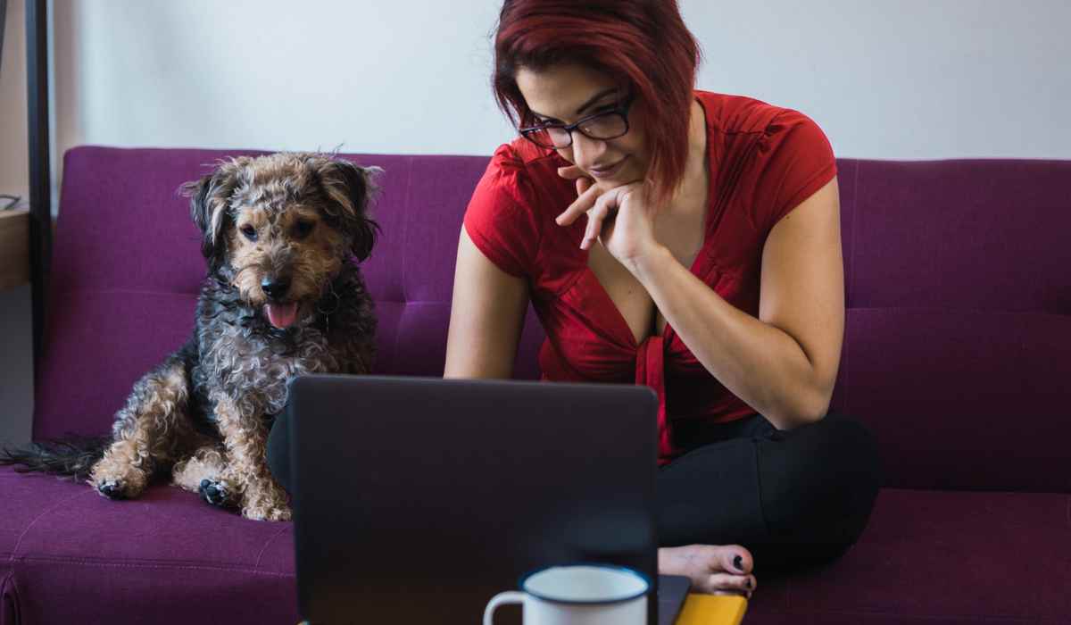 Virtual Training for your Puppy in Burnaby